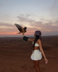 0f5572f1-80ce-41ed-a0f9-41c092292c7f (1)